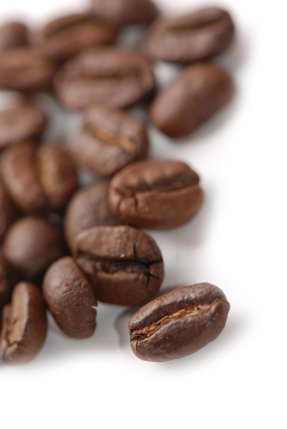 Coffee bean - Foto, Imagen