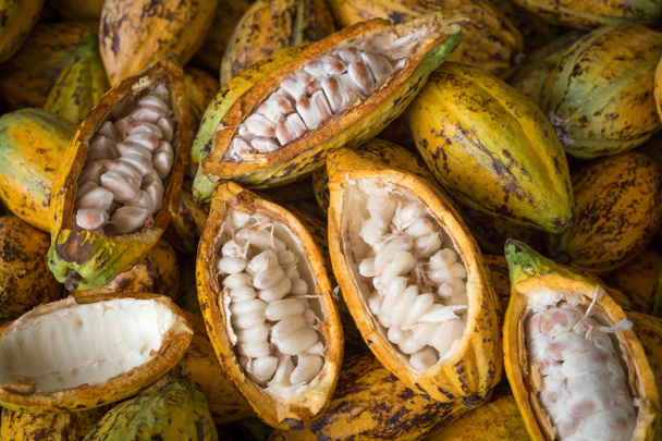 Κλείστε την προβολή raw cacao λοβοί υπόβαθρο - Φωτογραφία, εικόνα