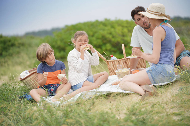 Family having a picnic in countryside - 写真・画像