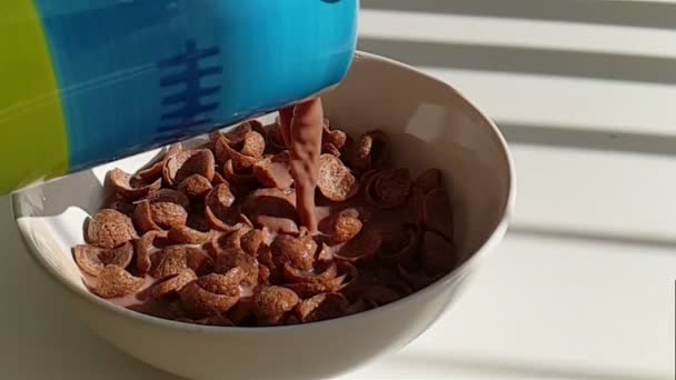 Zpomalený pohyb z kakaové mléko nalijte do čokoládové Kukuřičné vločky v misce - Záběry, video