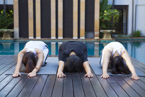 fitness, deporte y estilo de vida saludable - grupo de personas con entrenador personal haciendo ejercicios de yoga sobre alfombras En la naturaleza
. - Foto, Imagen