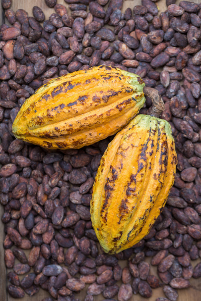 reife Kakaoschoten und Bohnen auf rustikalem Holzgrund - Foto, Bild