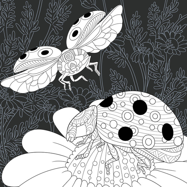 Ladybugs drawn in line art style. Daisy flowers. Floral background in black and white colors on chalkboard. Coloring book. Coloring page. Zentangle vector illustration. - Vettoriali, immagini