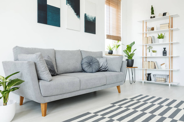 Cushions on grey couch and carpet in minimal living room interior with plant and posters. Real photo - Foto, Imagen
