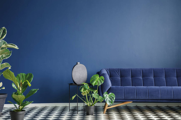 Interior de estilo mínimo com grande sofá azul escuro em pé em um piso de tabuleiro de xadrez contra parede monocromática vazia. Muitas plantas verdes. Foto real
. - Foto, Imagem