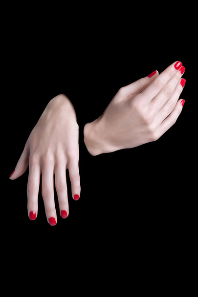 χέρια κομψή γυναίκα απομονωμένη - Φωτογραφία, εικόνα