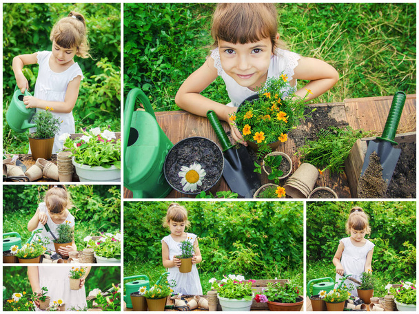 A little girl is planting flowers. The young gardener. Selective focus. - Photo, Image