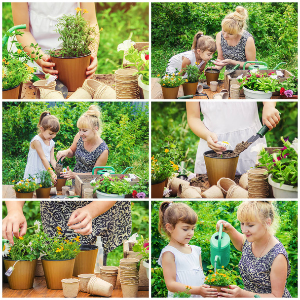 Una bambina sta piantando dei fiori. Il giovane giardiniere. Focus selettivo. - Foto, immagini