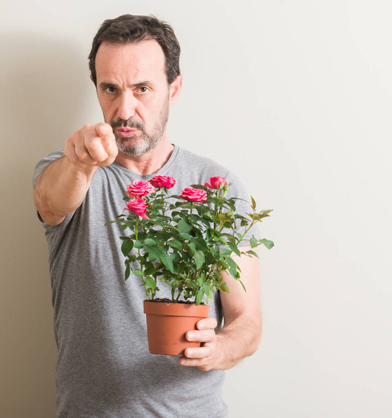 Homem sênior segurando flores de rosas em vaso apontando com o dedo para a câmera e para você, sinal de mão, gesto positivo e confiante da frente
 - Foto, Imagem