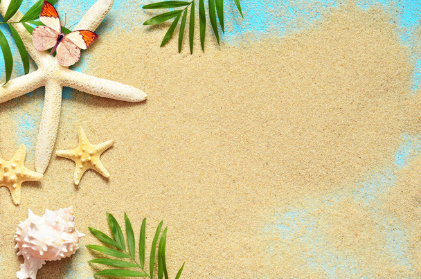 Літній пляж. Зоряна риба і черепаха на гілці піску і долоні
. - Фото, зображення