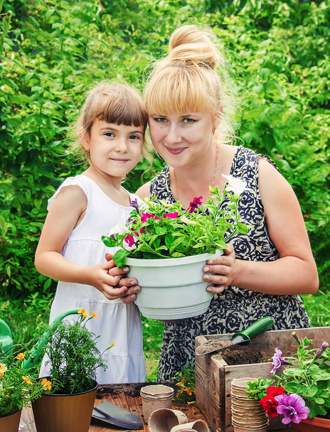 Ein kleines Mädchen pflanzt Blumen. Der junge Gärtner. Selektiver Fokus. - Foto, Bild