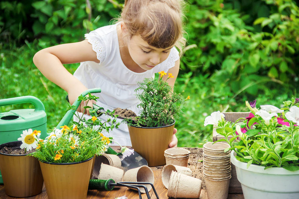 Ένα κοριτσάκι φυτεύει λουλούδια. Ο νεαρός κηπουρός. Επιλεκτική εστίαση.  - Φωτογραφία, εικόνα