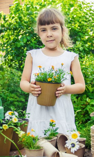 Ένα κοριτσάκι φυτεύει λουλούδια. Ο νεαρός κηπουρός. Επιλεκτική εστίαση.  - Φωτογραφία, εικόνα