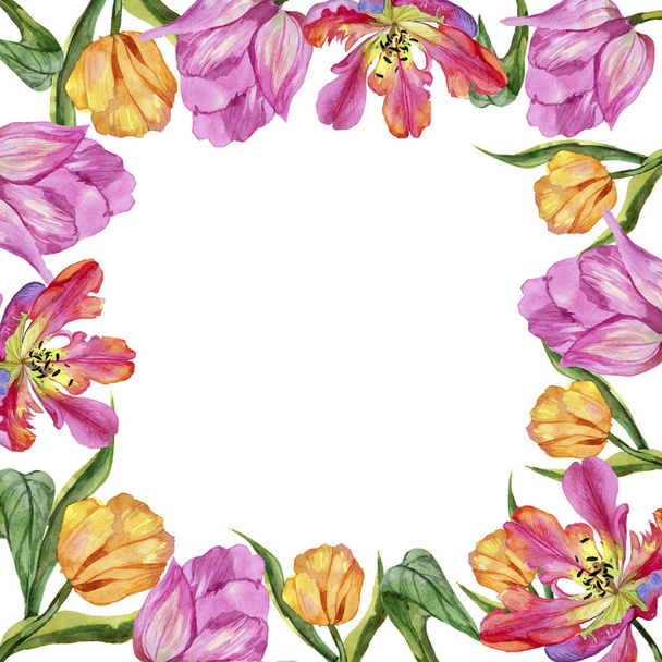 Colorful summer tulip. Floral botanical flower. Frame border ornament square. Aquarelle wildflower for background, texture, wrapper pattern, frame or border. - Fotoğraf, Görsel