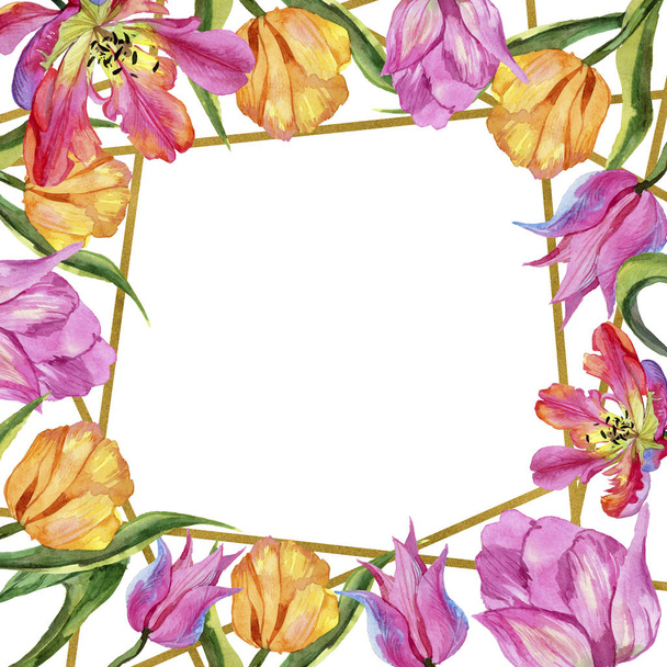 Colorful summer tulip. Floral botanical flower. Frame border ornament square. Aquarelle wildflower for background, texture, wrapper pattern, frame or border. - Photo, image