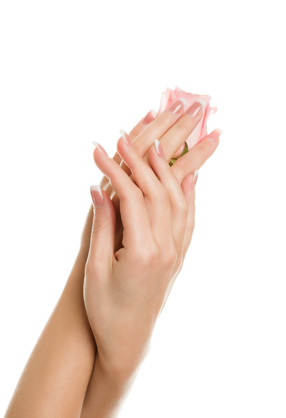 Women's beautiful hands hold a tender pink rose - Φωτογραφία, εικόνα