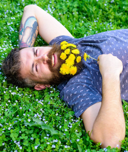 Bearded man with dandelion flowers lay on meadow, grass background. Hipster with bouquet of dandelions in beard relaxing. Unite with nature concept. Man with beard on smiling face enjoy nature - Photo, Image