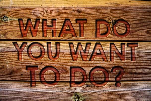 Handwriting text What Do You Want To Do Question. Concept meaning Meditate Relax Vacation Travel Desire Wooden background vintage wood board wild message ideas intentions thoughts - Photo, Image