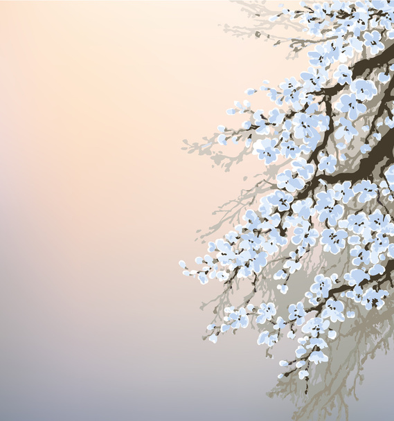 Vector background. Blossoming branches of an old tree - Vector, Image