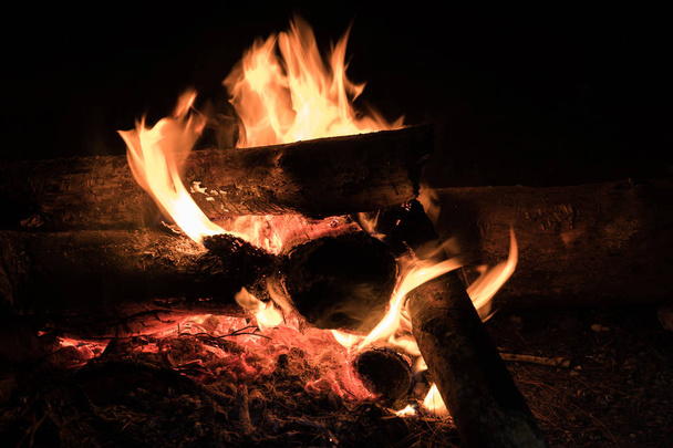 Close view of bonfire in forest - Fotoğraf, Görsel