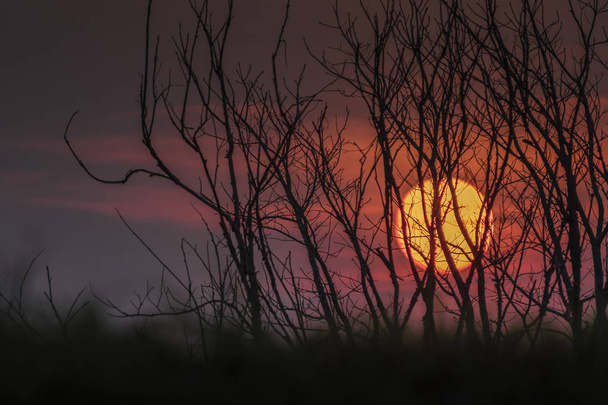 Assustador halloween fundo com silhuetas árvores na montanha ao pôr do sol
. - Foto, Imagem