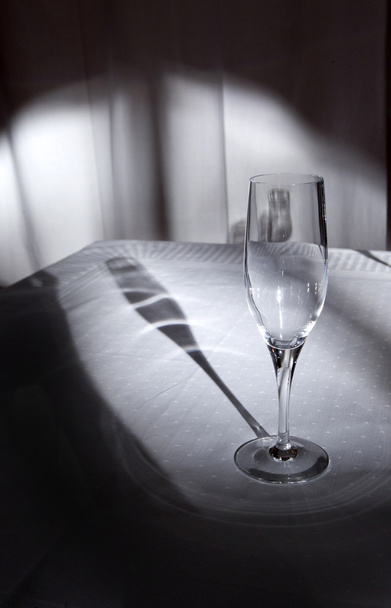 glass of champagne - Фото, зображення