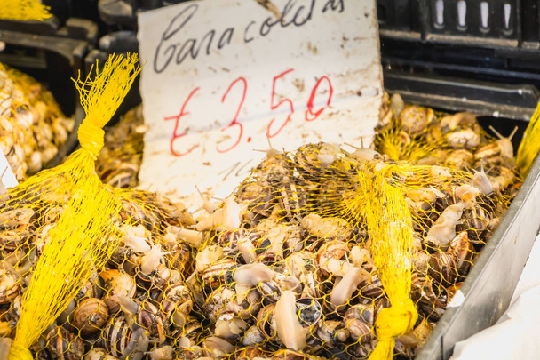φιλέτο από μικρές Πορτογαλικά σαλιγκάρι που ζουν σε μια αγορά. Πορτογαλικά εξειδικευμένα για απεριτίφ - Φωτογραφία, εικόνα