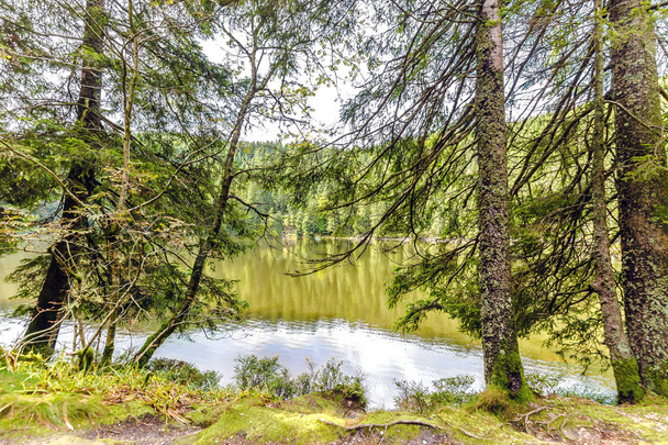 ruhiger Bergsee mit Spiegelungen der umliegenden grünen Wälder von einem felsigen Ufer aus an einem sonnigen bewölkten Tag - Foto, Bild