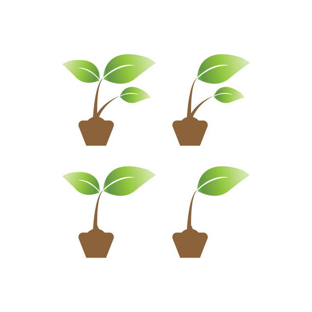 Элегантный росток на траве дизайн логотипа сельского хозяйства вектор шаблона
 - Вектор,изображение