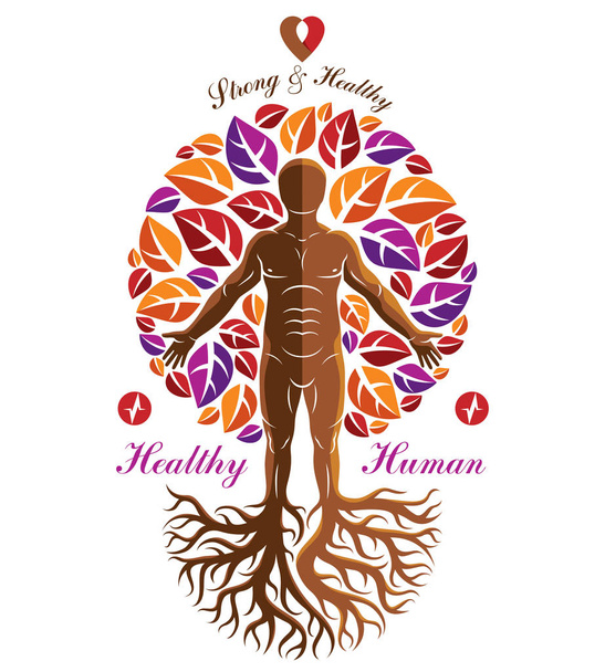 Ilustración vectorial del hombre atlético representado como continuación del árbol. Corazón fuerte es buena salud, abstracción centro de bienestar
. - Vector, imagen