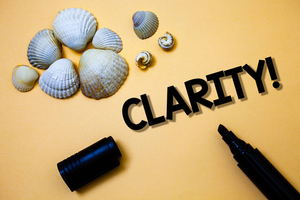 Conceptual hand writing showing Clarity. Business photo text Certainty Precision Purity Comprehensibility Transparency Accuracy Yellow background shadow open marker shells beach memory memories - Photo, Image
