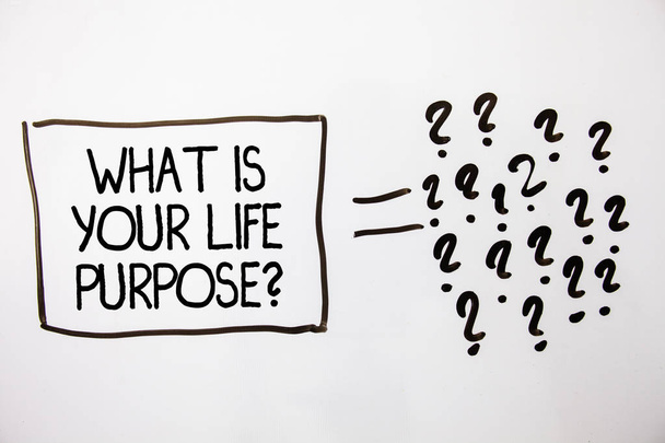 Text sign showing What Is Your Life Purpose Question. Conceptual photo Personal Determination Aims Achieve Goal White background equal sign question marks idea ideas messages feelings - Photo, Image