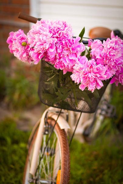 Közeli kép: egy gyönyörű rózsaszín pünkösdi rózsa a mettalic kerékpár kosár, a kertben egy nyári napon a forró nap a friss csokor - Fotó, kép