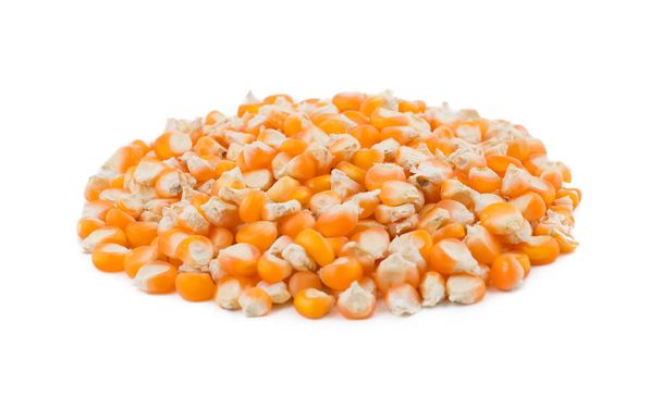 Zdrowe suszone nasiona kukurydzy Również wiedzieć, jak Makki, nasiona kukurydzy lub kukurydzy izolowane na białym tle - Zdjęcie, obraz