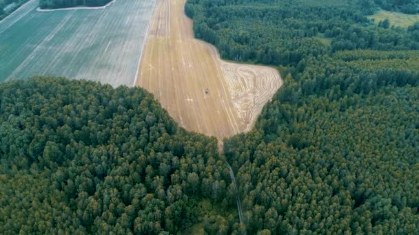 Erdő és mező Nézd a levegőből - Felvétel, videó