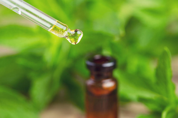 Mint oil dripping into bottle on blurred natural green background - Photo, Image