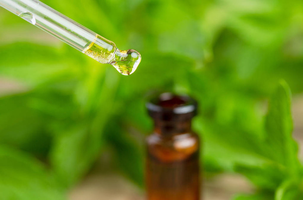 Pepermunt olie druipend in fles op wazig natuurlijke groene achtergrond - Foto, afbeelding