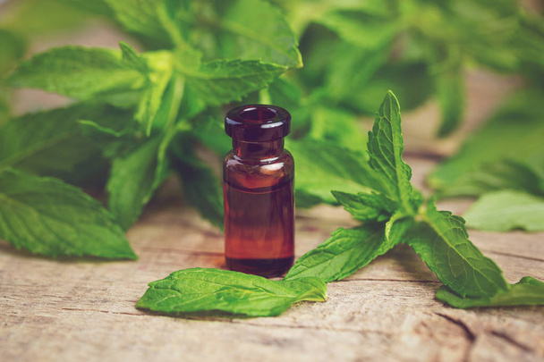 Natural Mint essential oil in a glass bottle with fresh min leaves on a wooden backgroun - Photo, Image