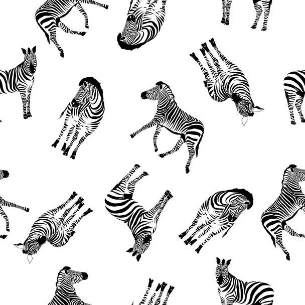 Zebra pattern, illustration, animal. - Vektor, kép