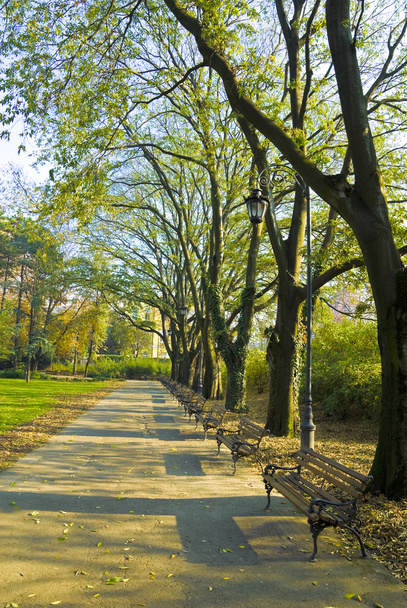 Park in November - Foto, afbeelding