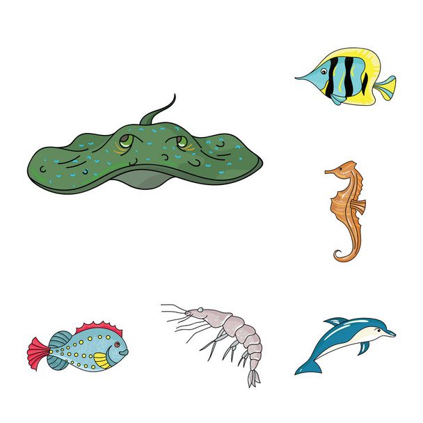 A variety of marine animals cartoon icons in set collection for design. Fish and shellfish vector symbol stock web illustration. - Vektor, obrázek