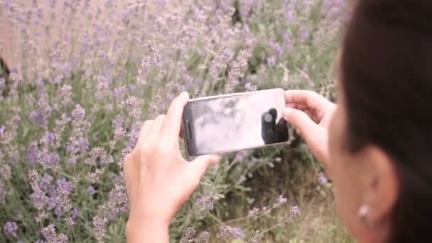 Frau fotografiert Lavendel mit dem Smartphone. Nahaufnahme. - Filmmaterial, Video