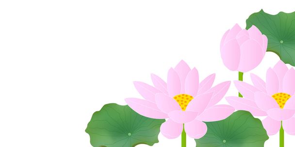 Lotus Buda flor fundo
 - Vetor, Imagem