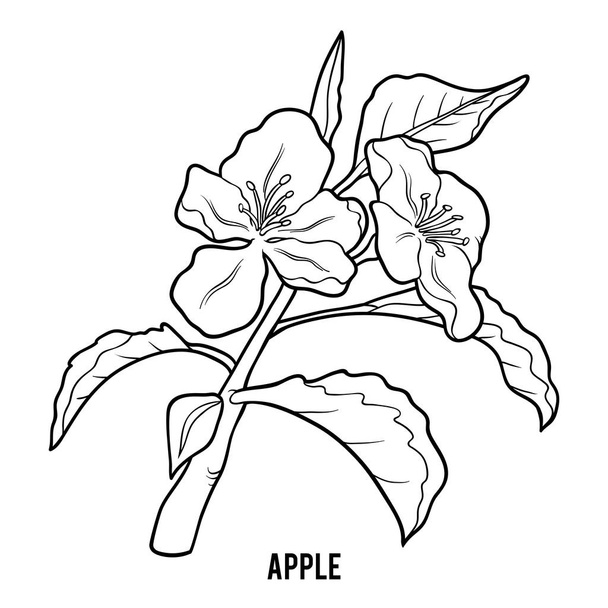 Coloring book for children, Apple tree - Διάνυσμα, εικόνα