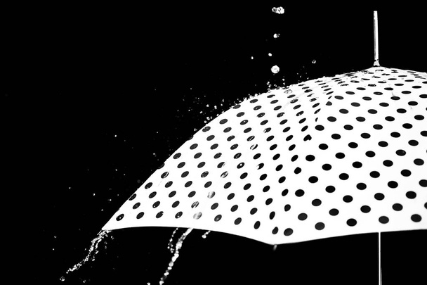 βροχή drop ομπρέλα απομονωμένες - Φωτογραφία, εικόνα