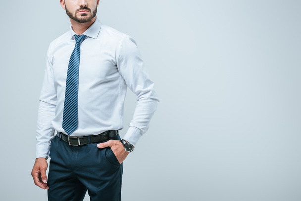 cropped image of businessman standing with hand in pocket isolated on grey - Φωτογραφία, εικόνα
