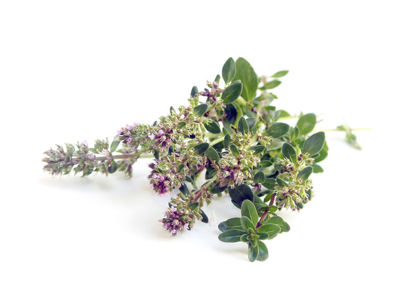 Bouquet d'herbes fraîches thym - Photo, image