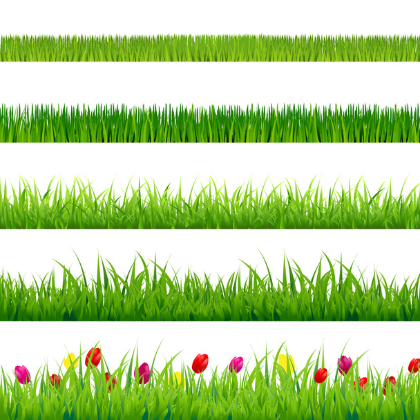 大きな緑の草と花のセット - ベクター画像