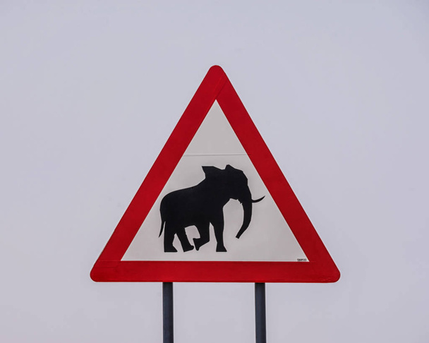 Roadside sign warning of wildlife, Elephants - Foto, Imagen