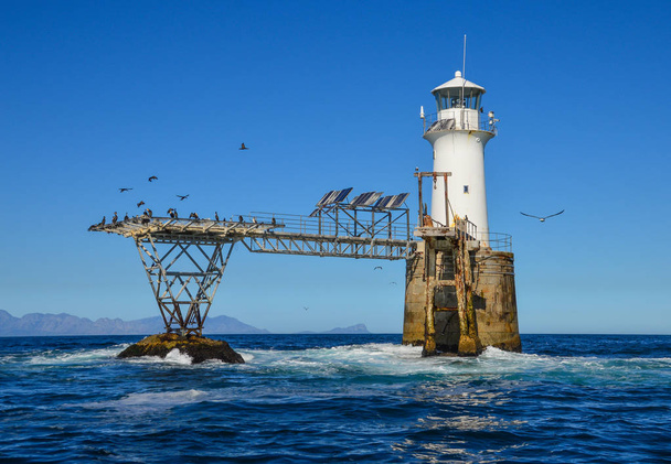 flying birds and Roman Rock Lighthouse in False Bay, South Africa - Fotó, kép